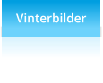 Vinterbilder