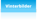 Vinterbilder