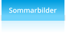 Sommarbilder