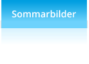 Sommarbilder