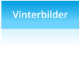 Vinterbilder