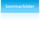 Sommarbilder