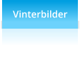 Vinterbilder