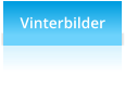 Vinterbilder