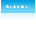 Bruddrkter