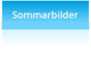 Sommarbilder