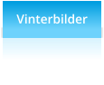 Vinterbilder