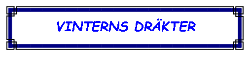 Textruta: VINTERNS DRKTER